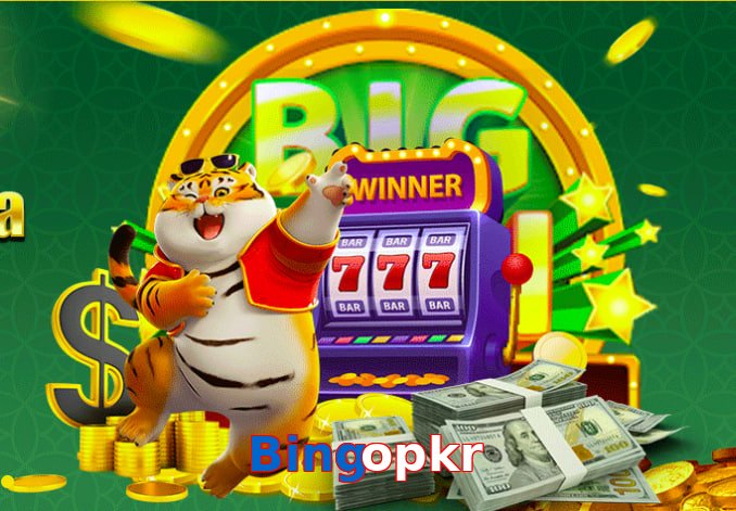 Bingopkr game app for Pakistan players