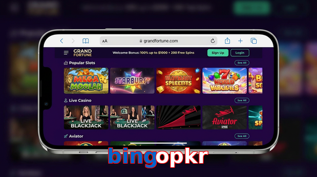 Main screen of Bingopkr ios page for PK players