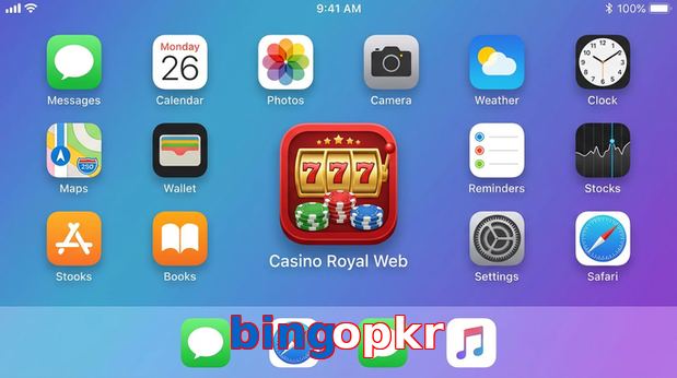 Payment and PKR controls in Bingopkr